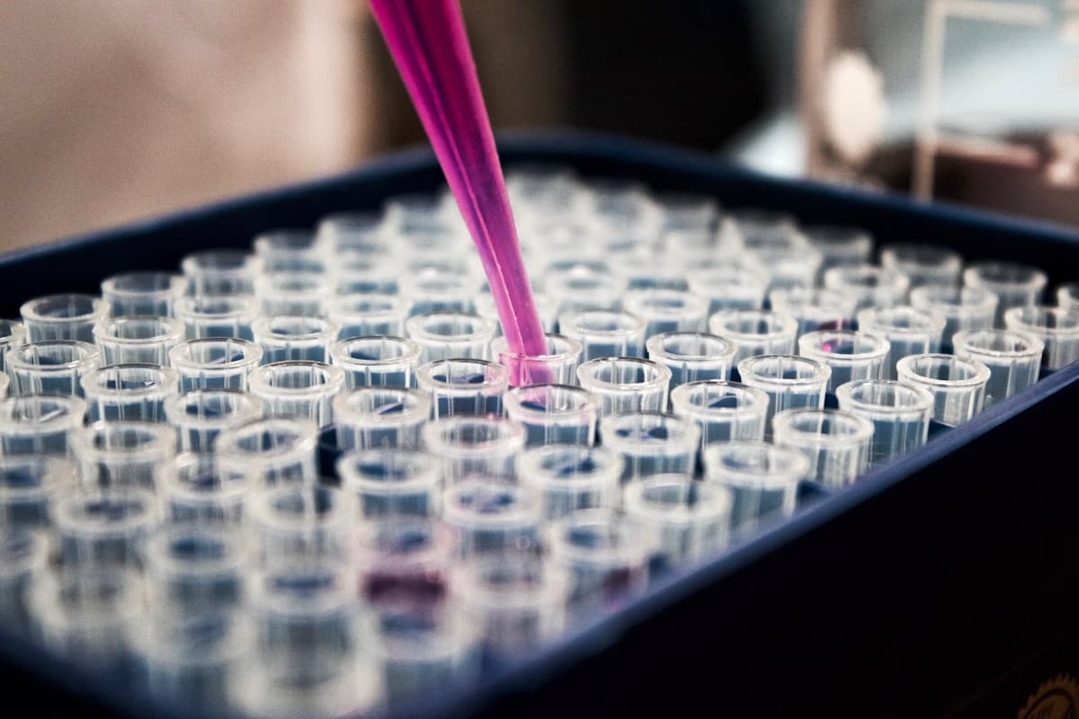 DNA 與老化生物學研究